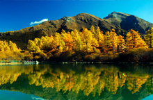 九龍伍須海、稻城亞丁、丹巴九日游