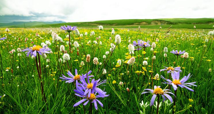 趕在盛夏前 五六月國內(nèi)最美出游地推薦