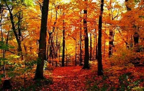 秋游正當時!成都租車旅游選哪一條?