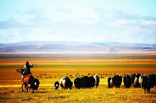 秋游正當時!成都租車旅游選哪一條?
